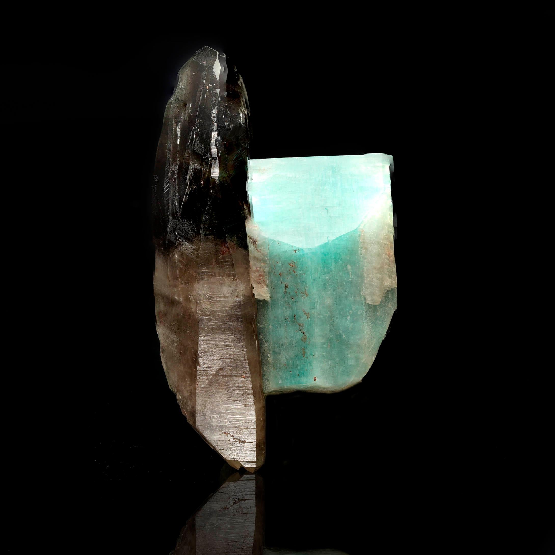 This remarkable specimen showcases a beautifully terminated intensely pigmented yet clear Smoky Quartz crystal rising beside a blocky formation of aqua-blue Amazonite or microcline Feldspar, offering a stunning juxtaposition of clarity and color.