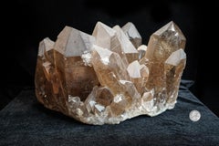 Smoky Quartz Cluster Partially-Polished / Partially Natural