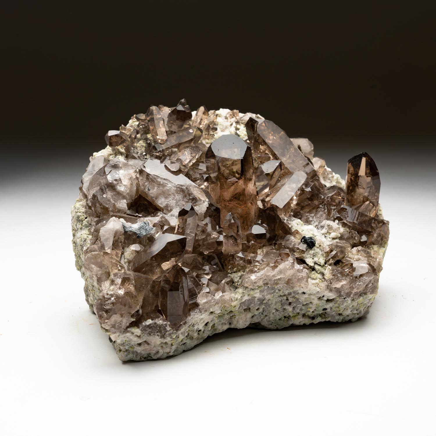 from St. Gotthard, Kanton Uri, Switzerland

Large matrix lined with gem transparent smoky quartz crystals with lustrous faces and sharp terminations.


3.5 lbs, 7 x 3 x 5 inches