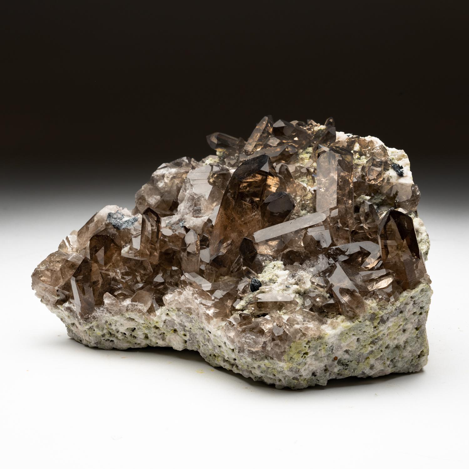 Smoky Quartz Crystals from St. Gotthard, Kanton Uri, Switzerland In New Condition For Sale In New York, NY