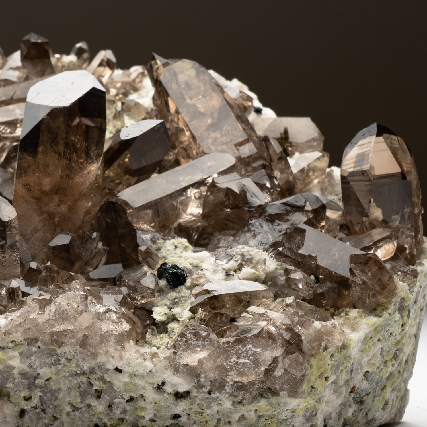 Smoky Quartz Crystals from St. Gotthard, Kanton Uri, Switzerland For Sale 1