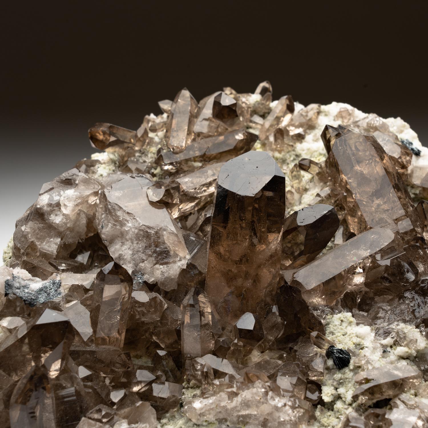 Smoky Quartz Crystals from St. Gotthard, Kanton Uri, Switzerland For Sale 2