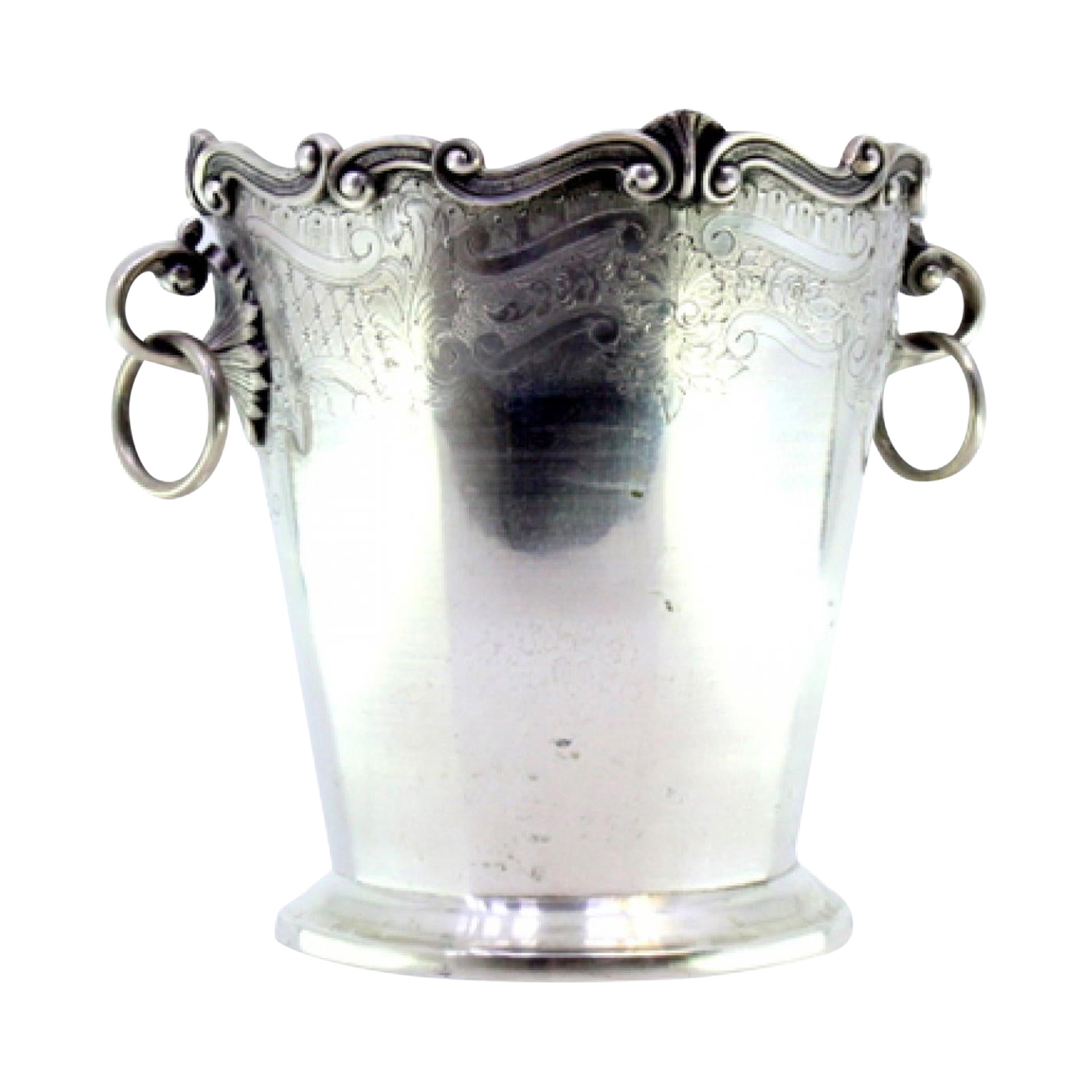Smooth silver ice bucket w/ plant engravings 
ring handles