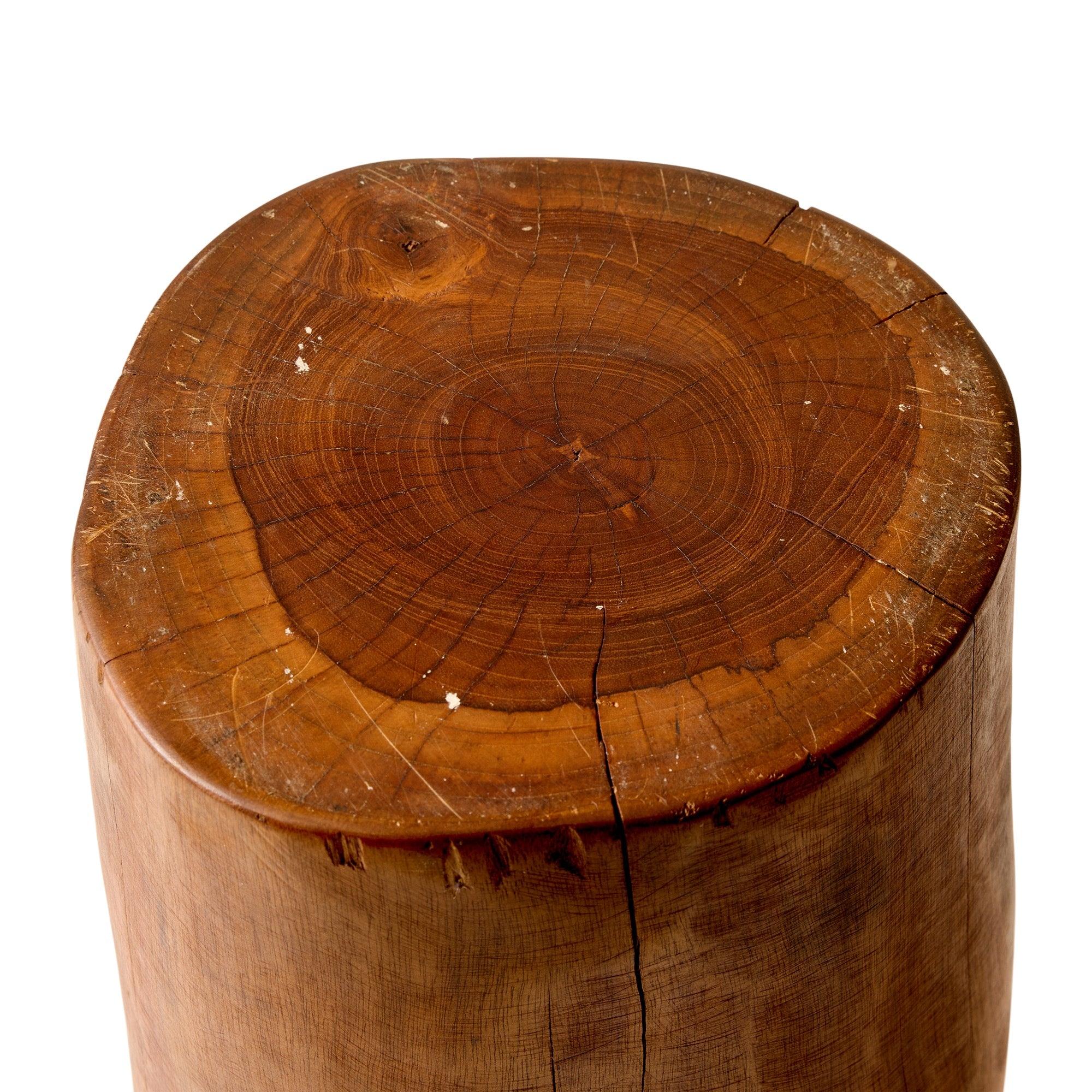 Contemporary Smooth Tree Trunk Table For Sale