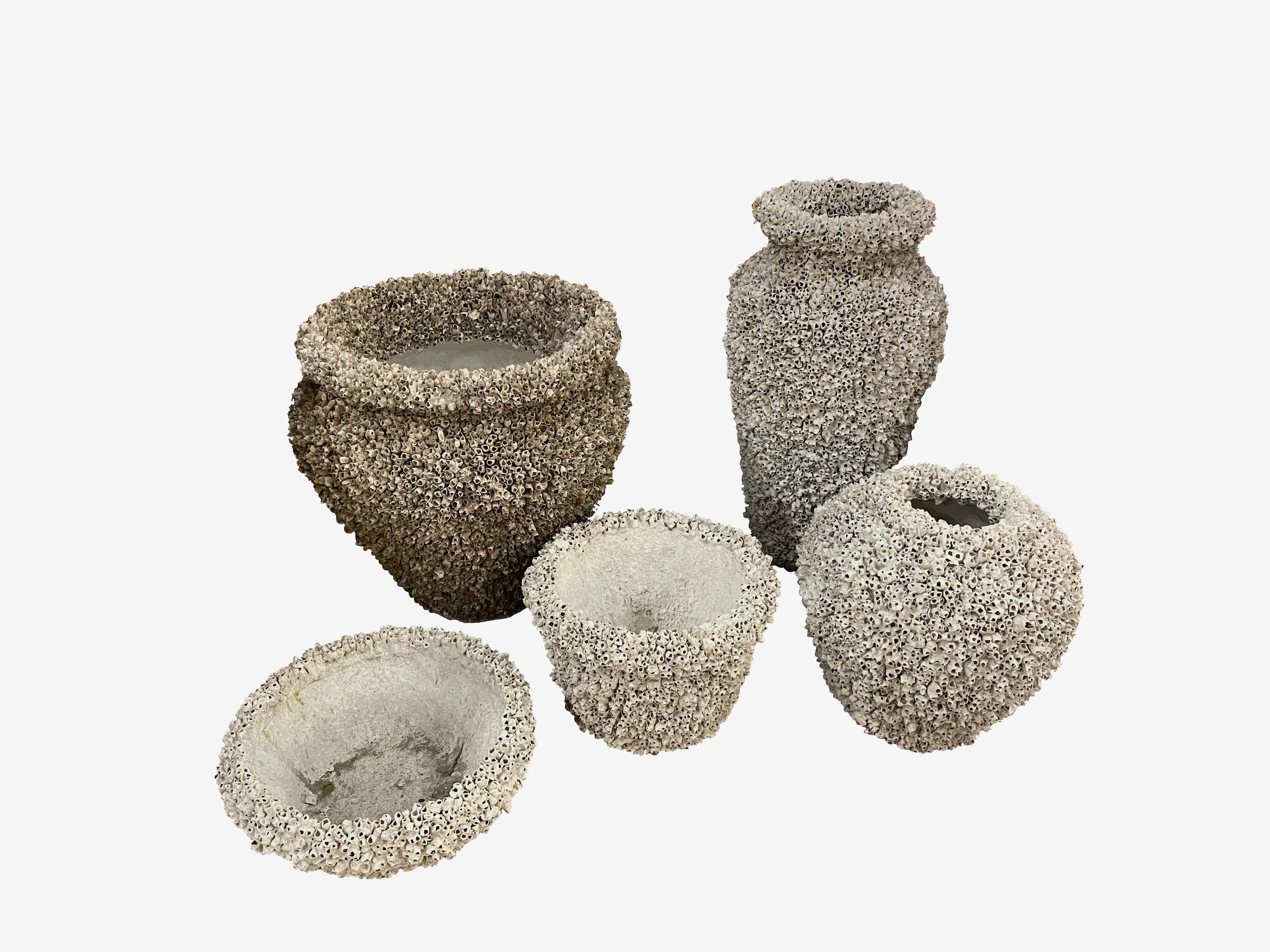 Mid-20th Century Snail Covered Classic Low Pot Shape Composition Stone Pot, Italy, 1950s