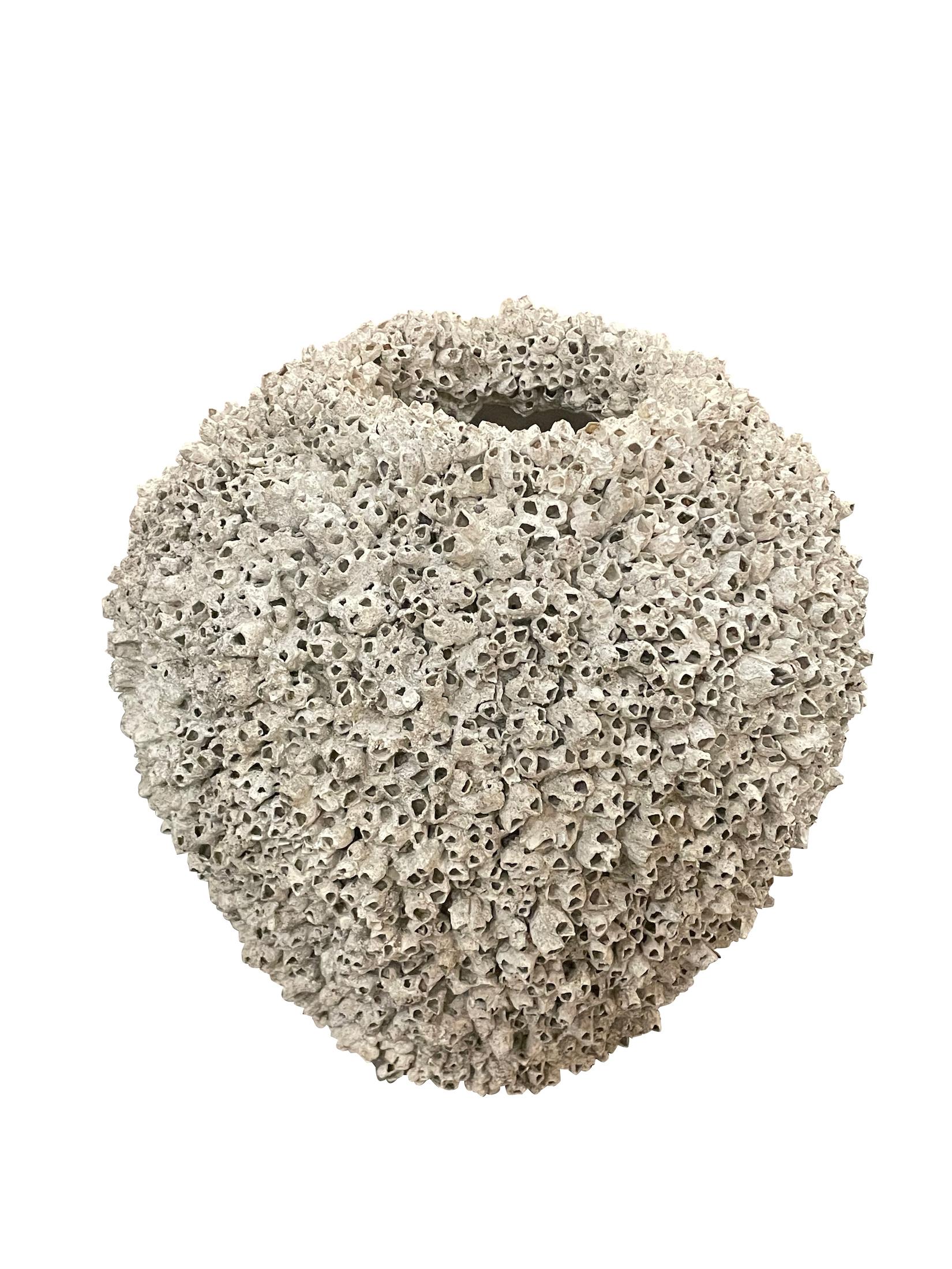 1950s Italian composition stone pot covered in snails.
Wide with narrow opening.
Can be used indoor or outdoors.
Part of a collection of other snail covered pots in different sizes and shapes.
ARRIVING APRIL.