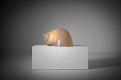 Schneckenlampe von Sergio Cammilli für Francesconi, Italien 1974