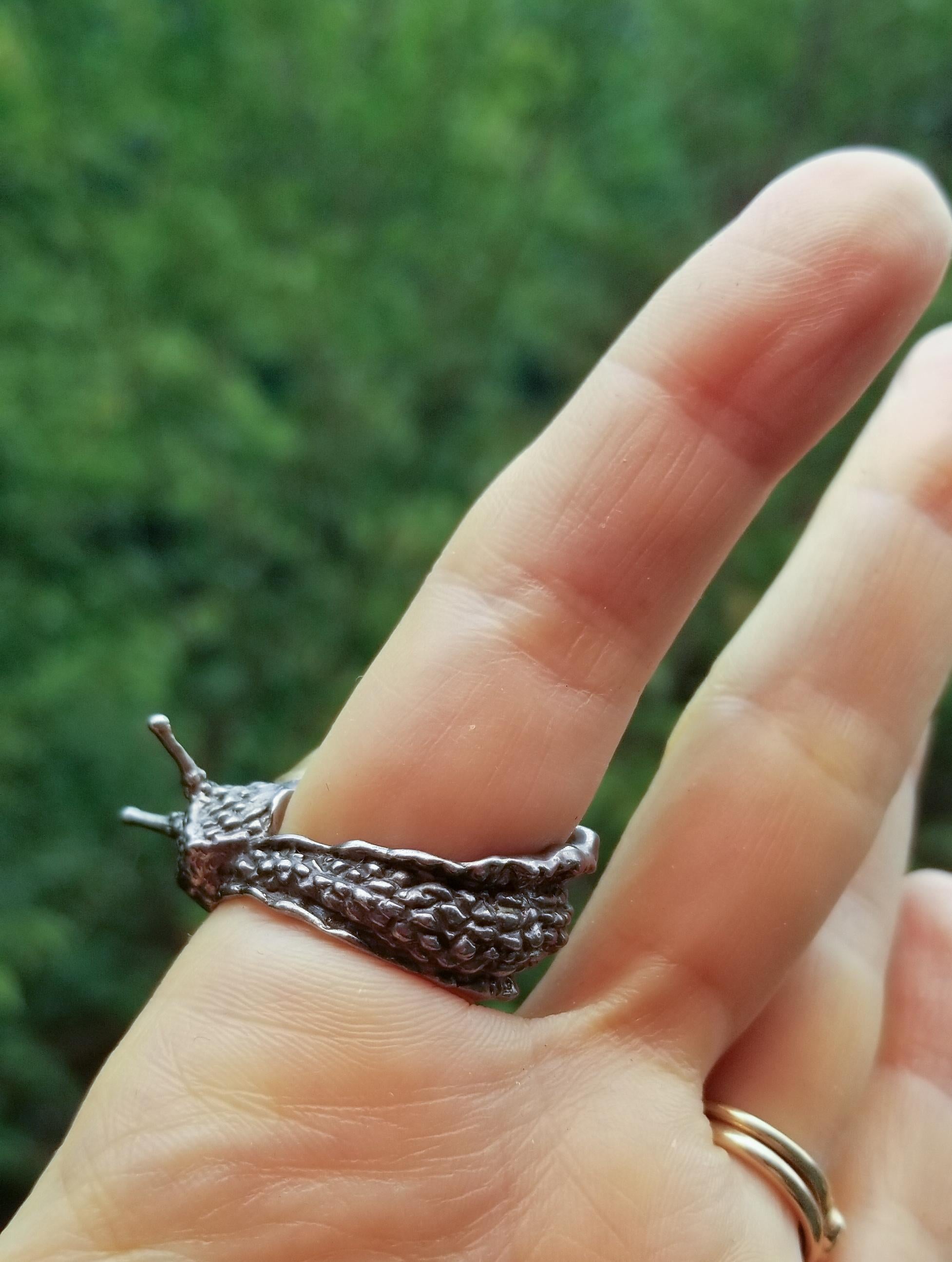 the great frog snail ring