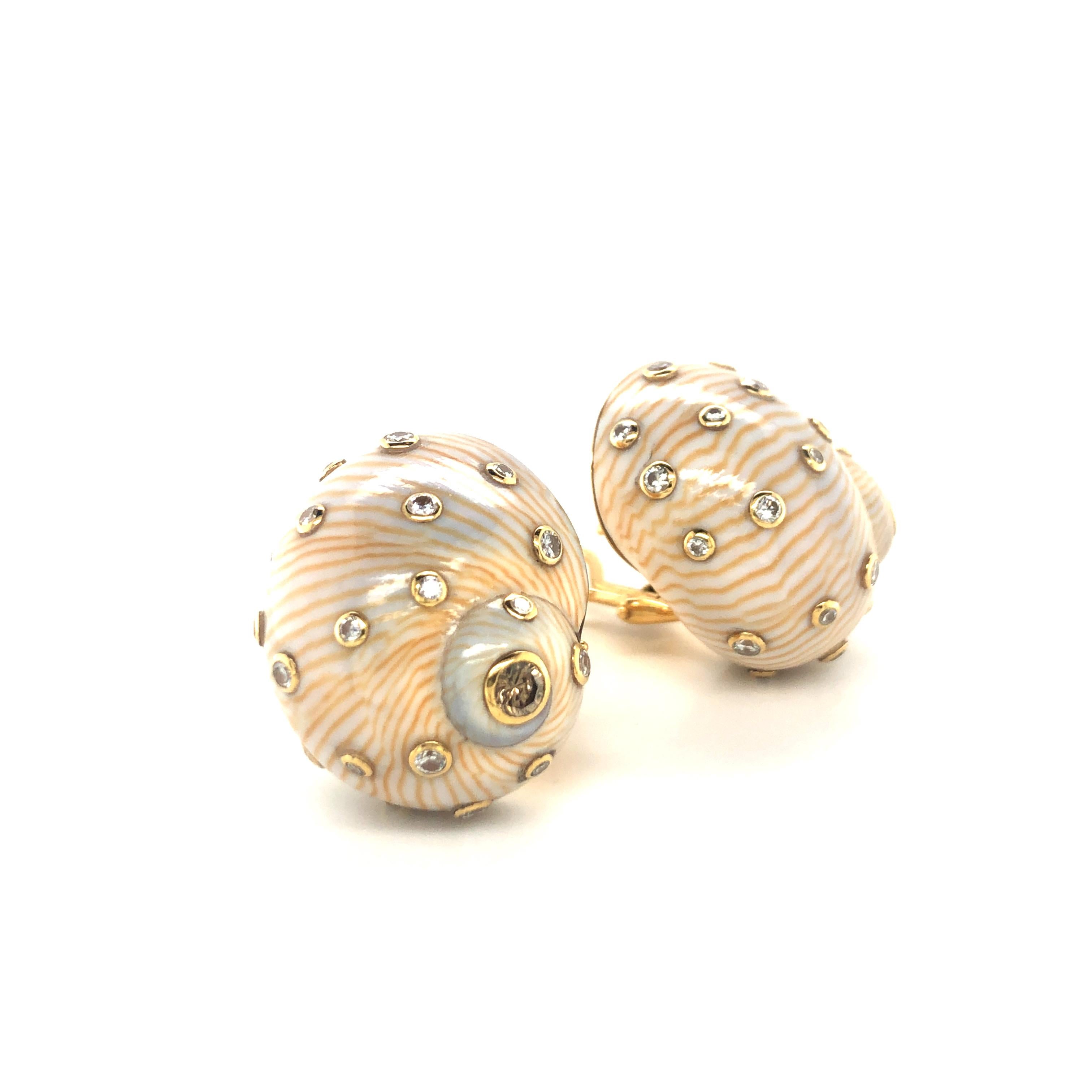 Summer is coming and here are the perfect earrings for the next beach party.
Crème coloured snail shell with fine brown lines highlighted with brown and white diamonds bezel set in 18 karat yellow gold. 
The 40 diamonds have a total weight of 1.16