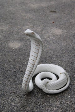 Snake Ornamental Sculpture in White and Gold Ceramic Tommaso Barbi, 1970s