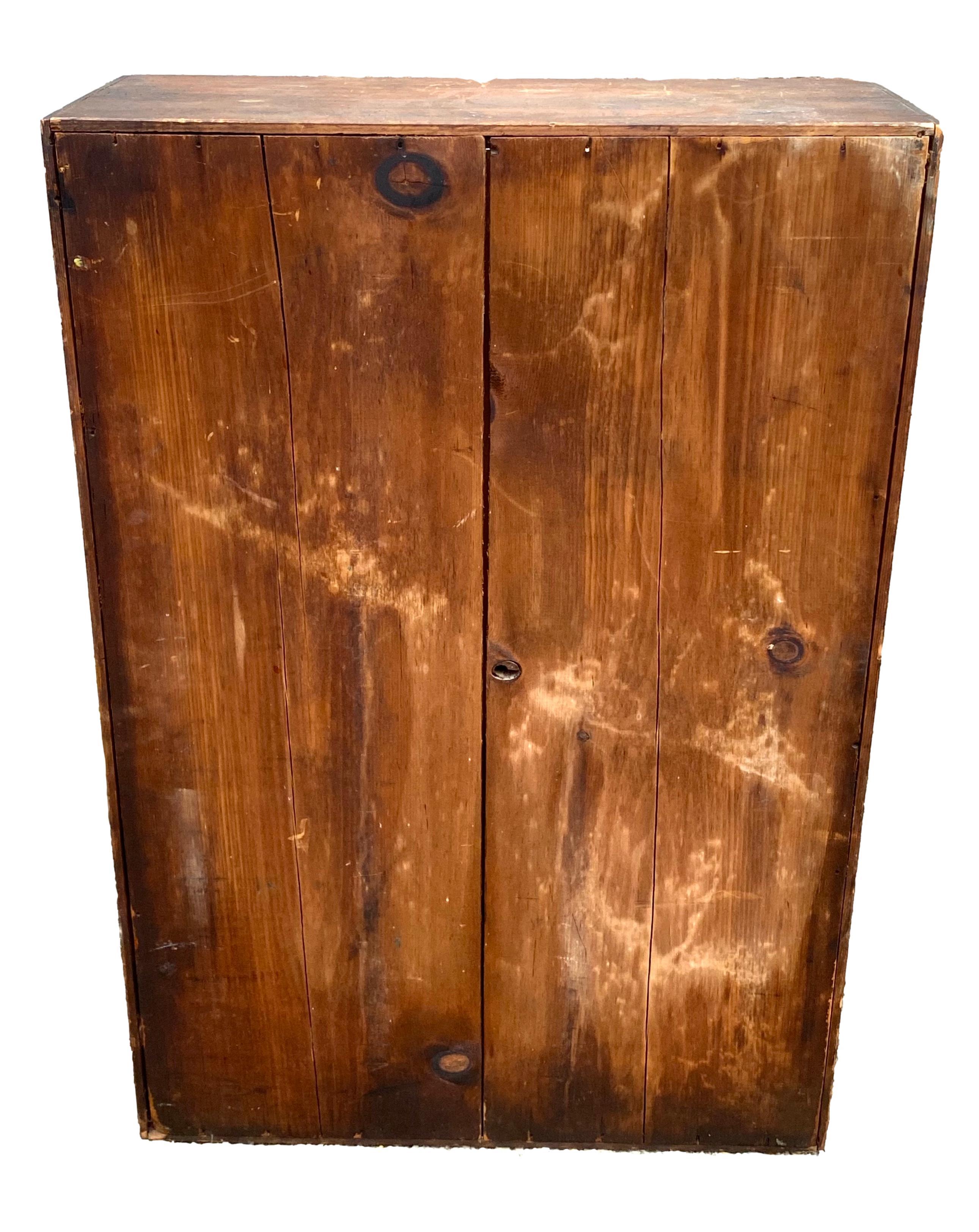 Wood Snake Skin Specimen in Case For Sale