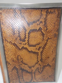 Snakeskin and Silver Desk Book