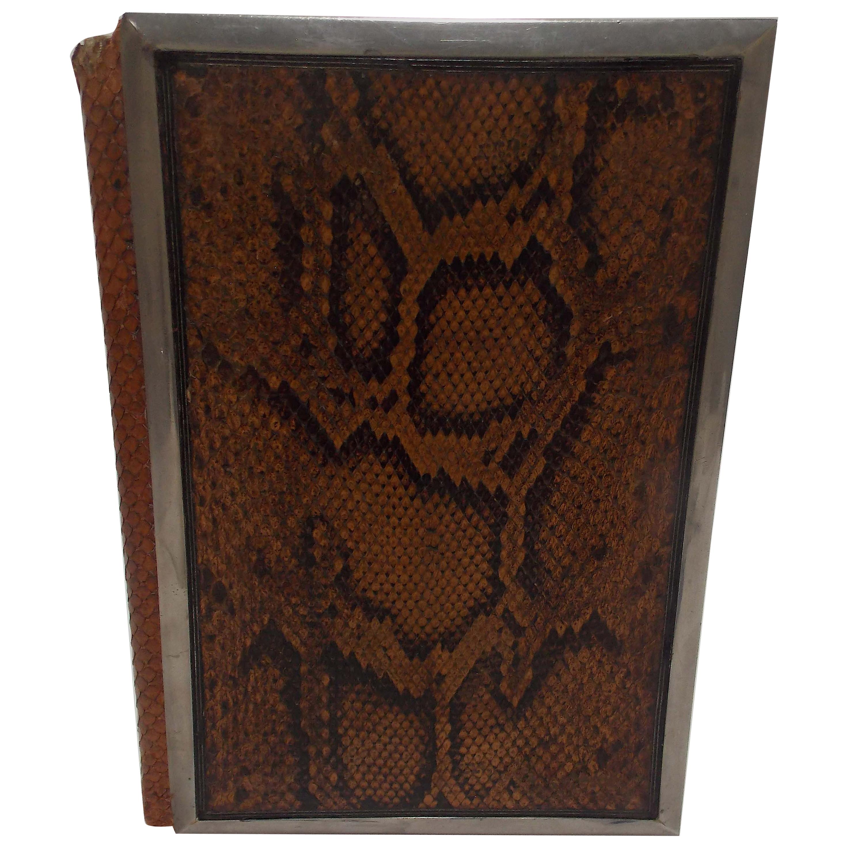 Snakeskin and Silver Desk Book For Sale