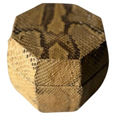 Snakeskin Jewelry Box