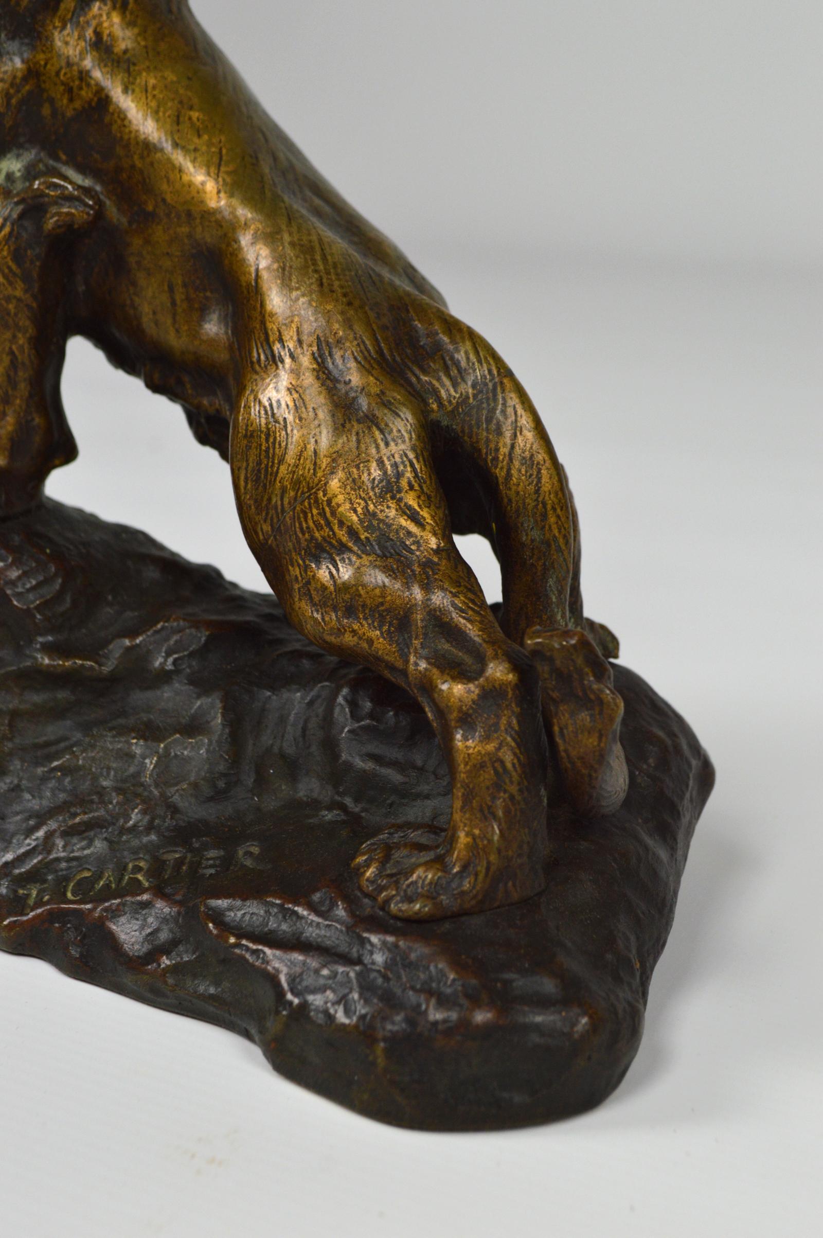 Snarling Lion in Bronze by Thomas François Cartier, France, Early 20th Century 4