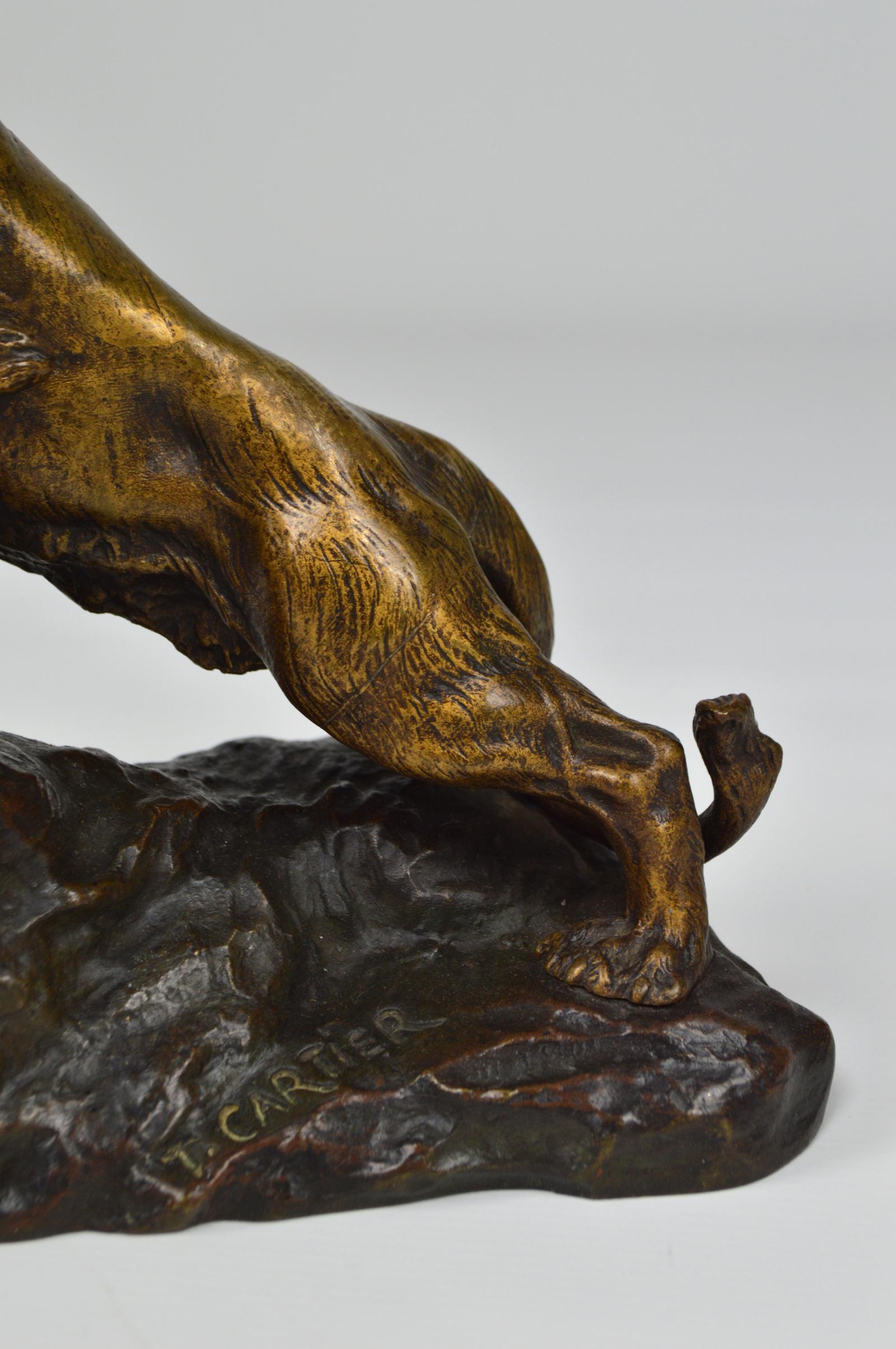 Snarling Lion in Bronze by Thomas François Cartier, France, Early 20th Century 5