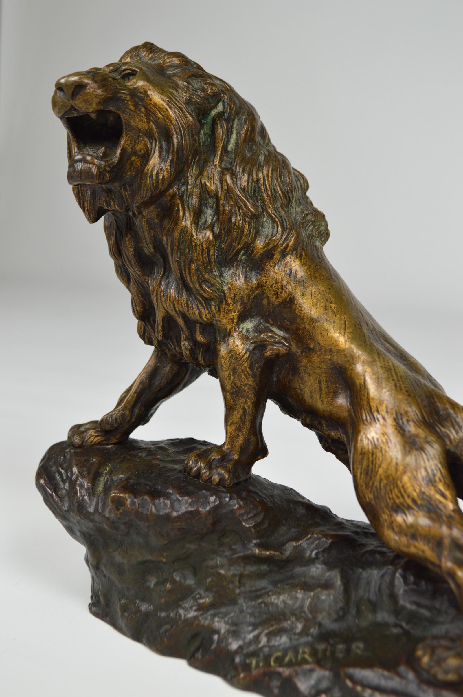 Snarling Lion in Bronze by Thomas François Cartier, France, Early 20th Century 6