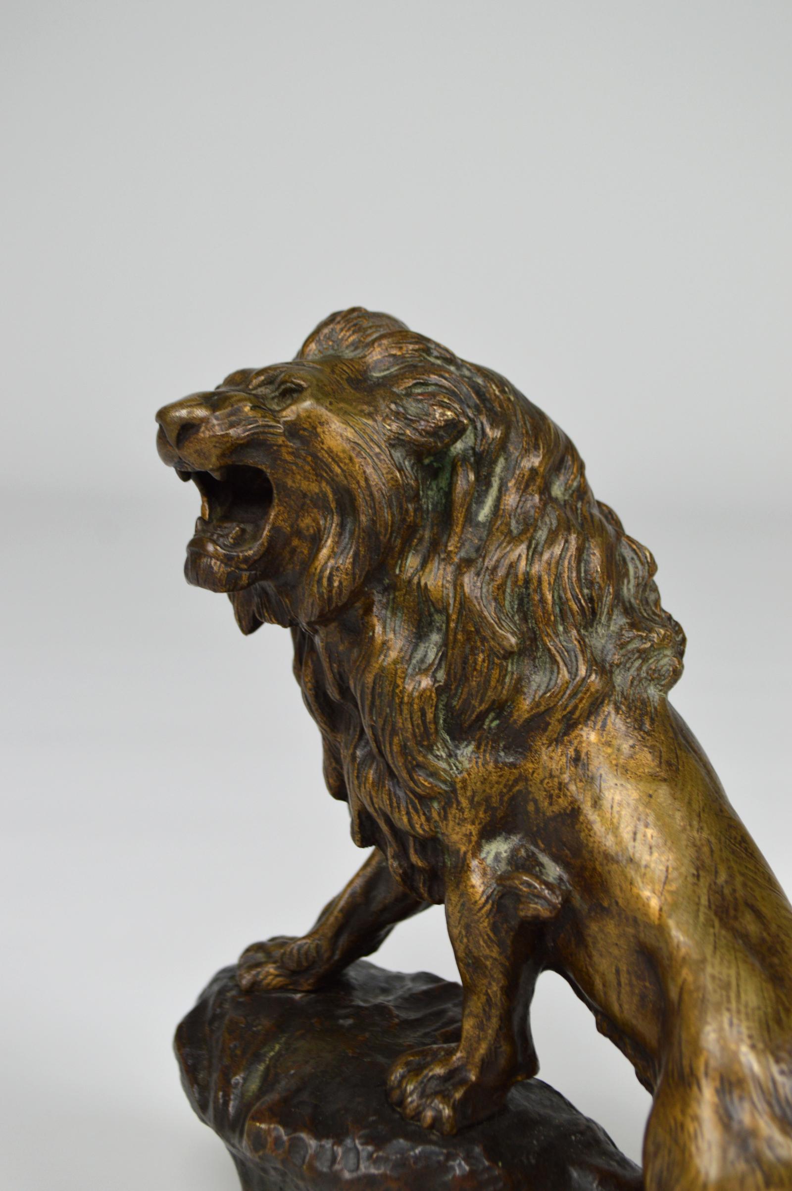 Snarling Lion in Bronze by Thomas François Cartier, France, Early 20th Century 7