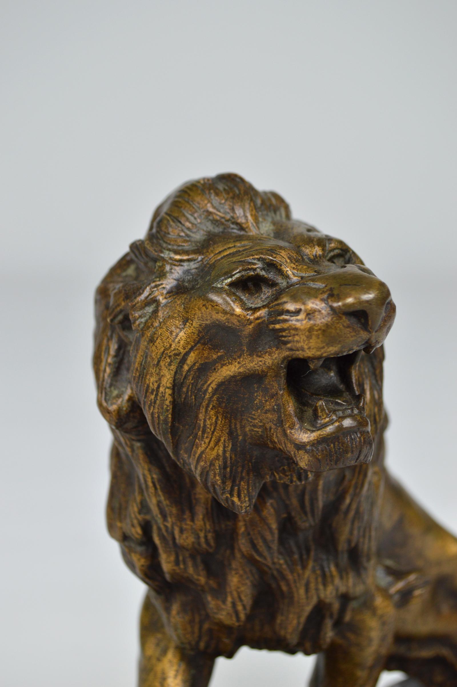Snarling Lion in Bronze by Thomas François Cartier, France, Early 20th Century 8