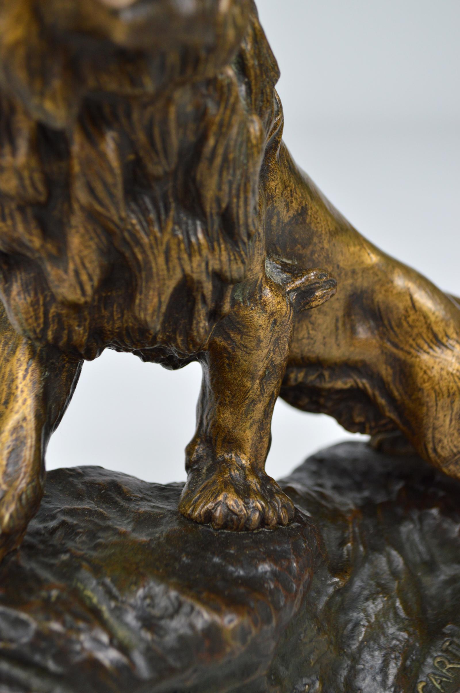 Snarling Lion in Bronze by Thomas François Cartier, France, Early 20th Century 9