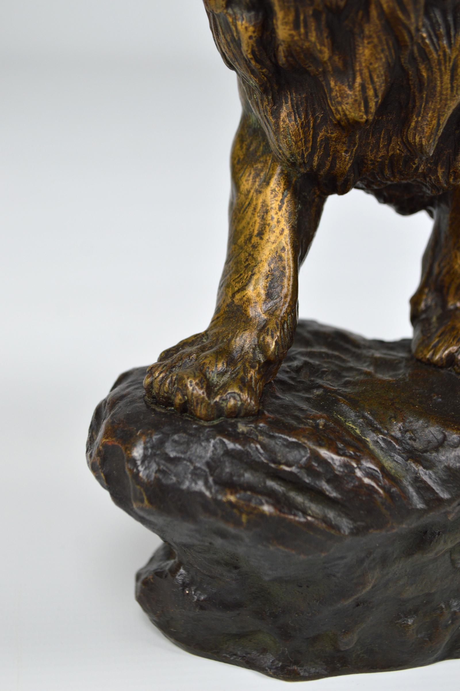 Snarling Lion in Bronze by Thomas François Cartier, France, Early 20th Century 10