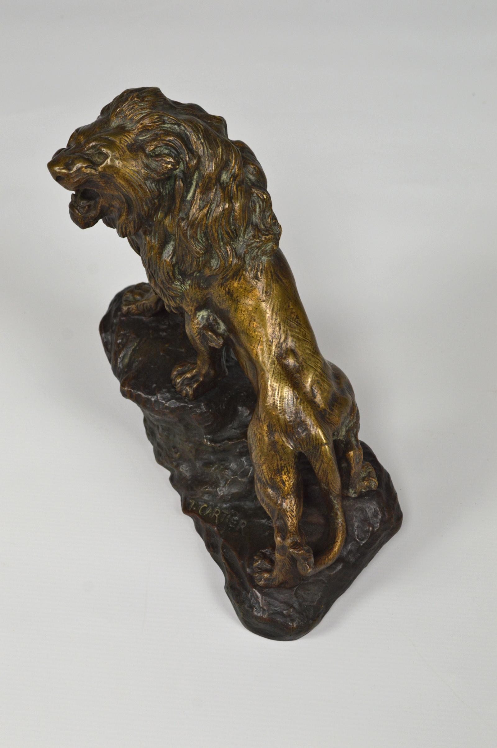 Snarling Lion in Bronze by Thomas François Cartier, France, Early 20th Century 11