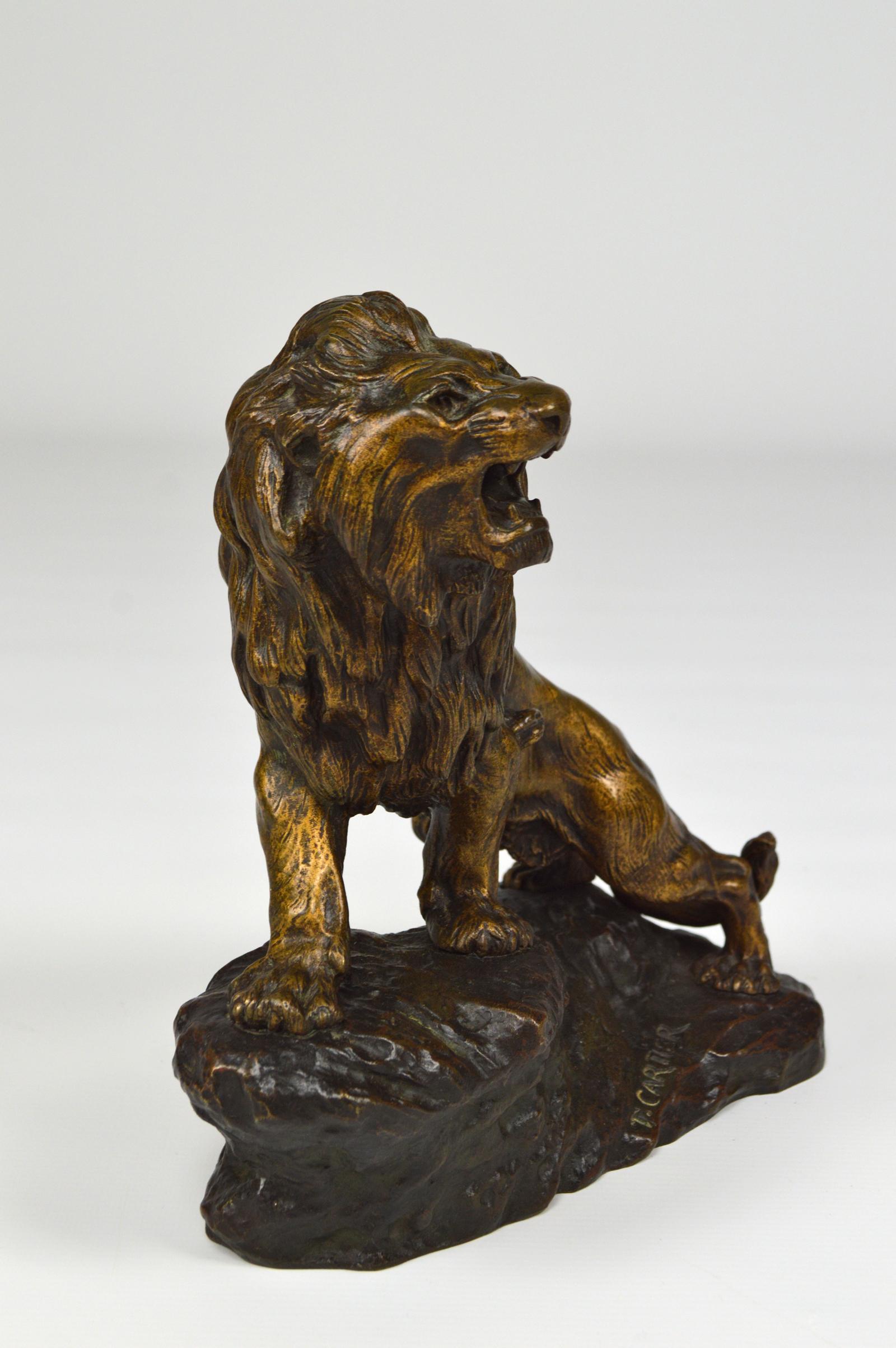 Snarling Lion in Bronze by Thomas François Cartier, France, Early 20th Century In Good Condition In L'Etang, FR