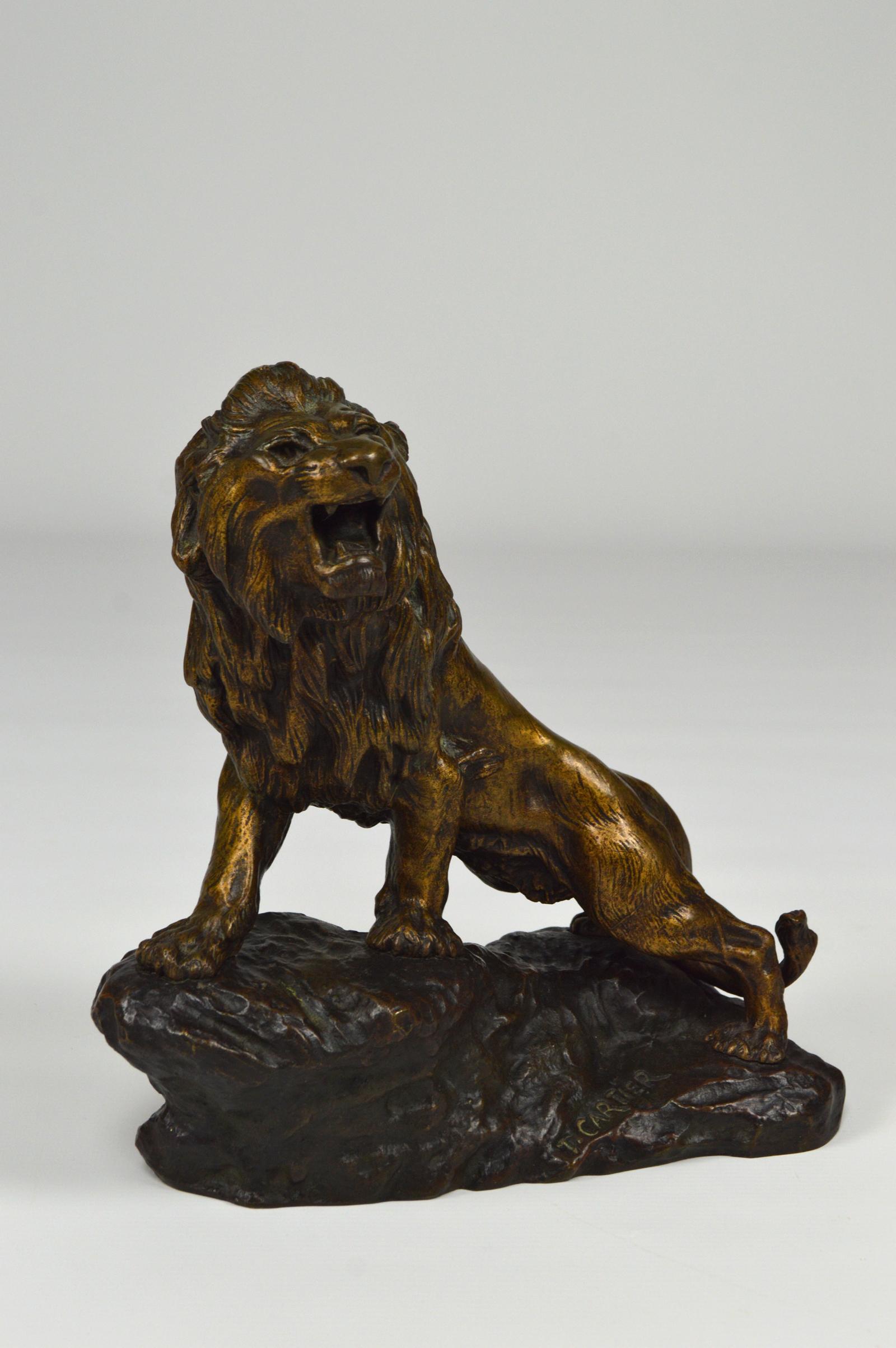 Snarling Lion in Bronze by Thomas François Cartier, France, Early 20th Century 1