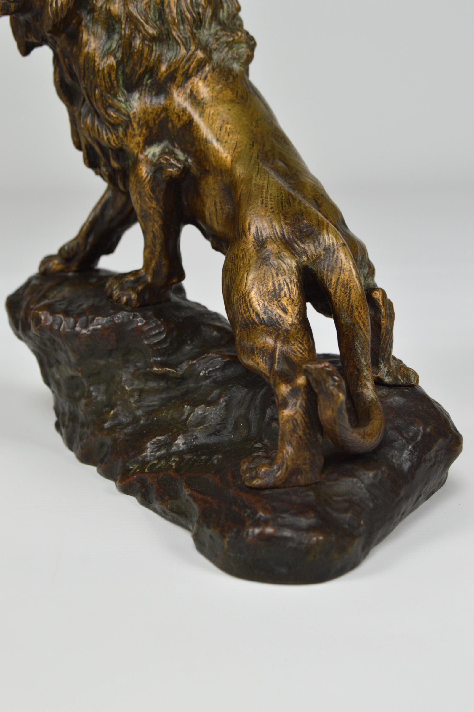 Snarling Lion in Bronze by Thomas François Cartier, France, Early 20th Century 2