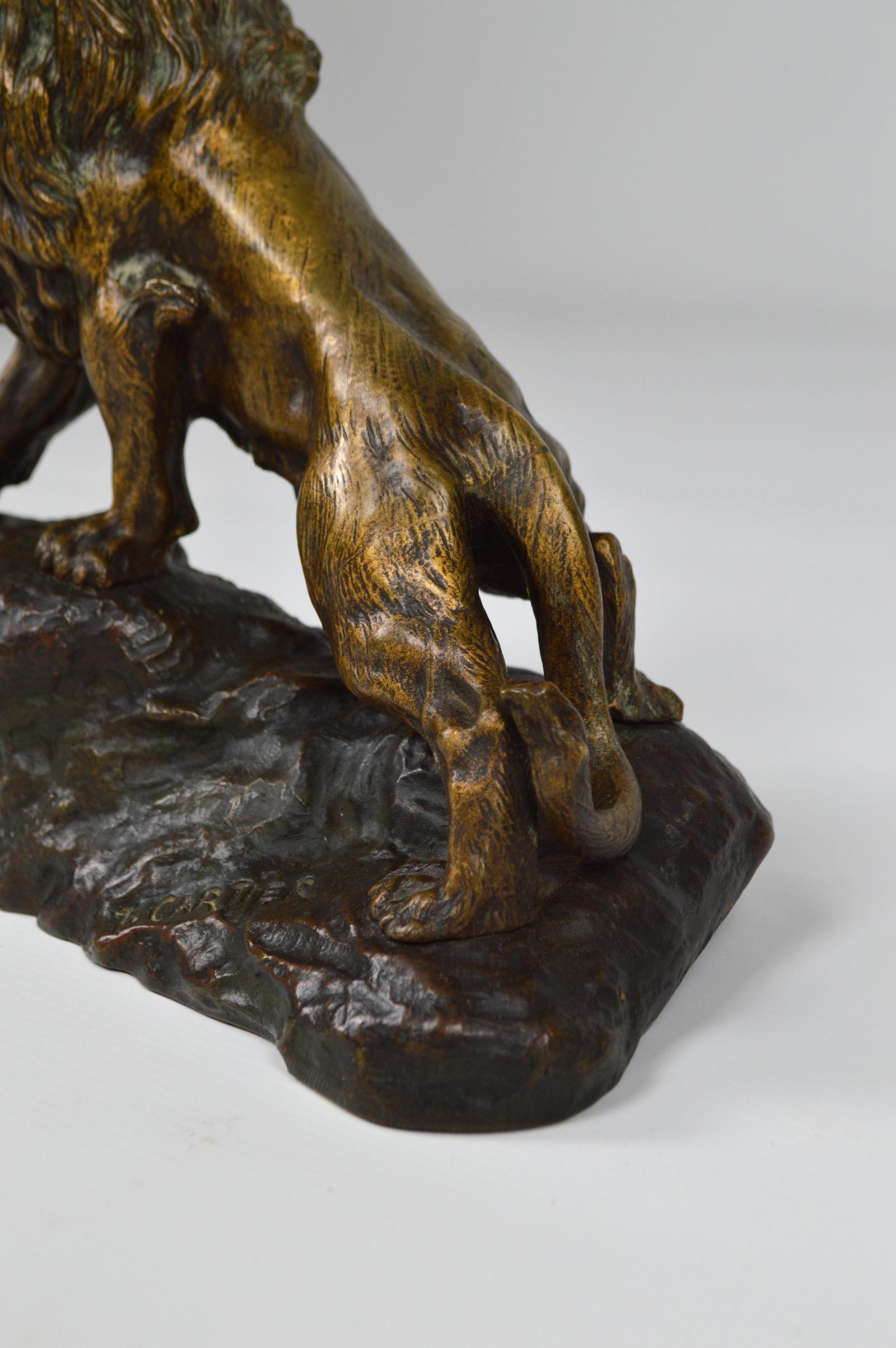 Snarling Lion in Bronze by Thomas François Cartier, France, Early 20th Century 3