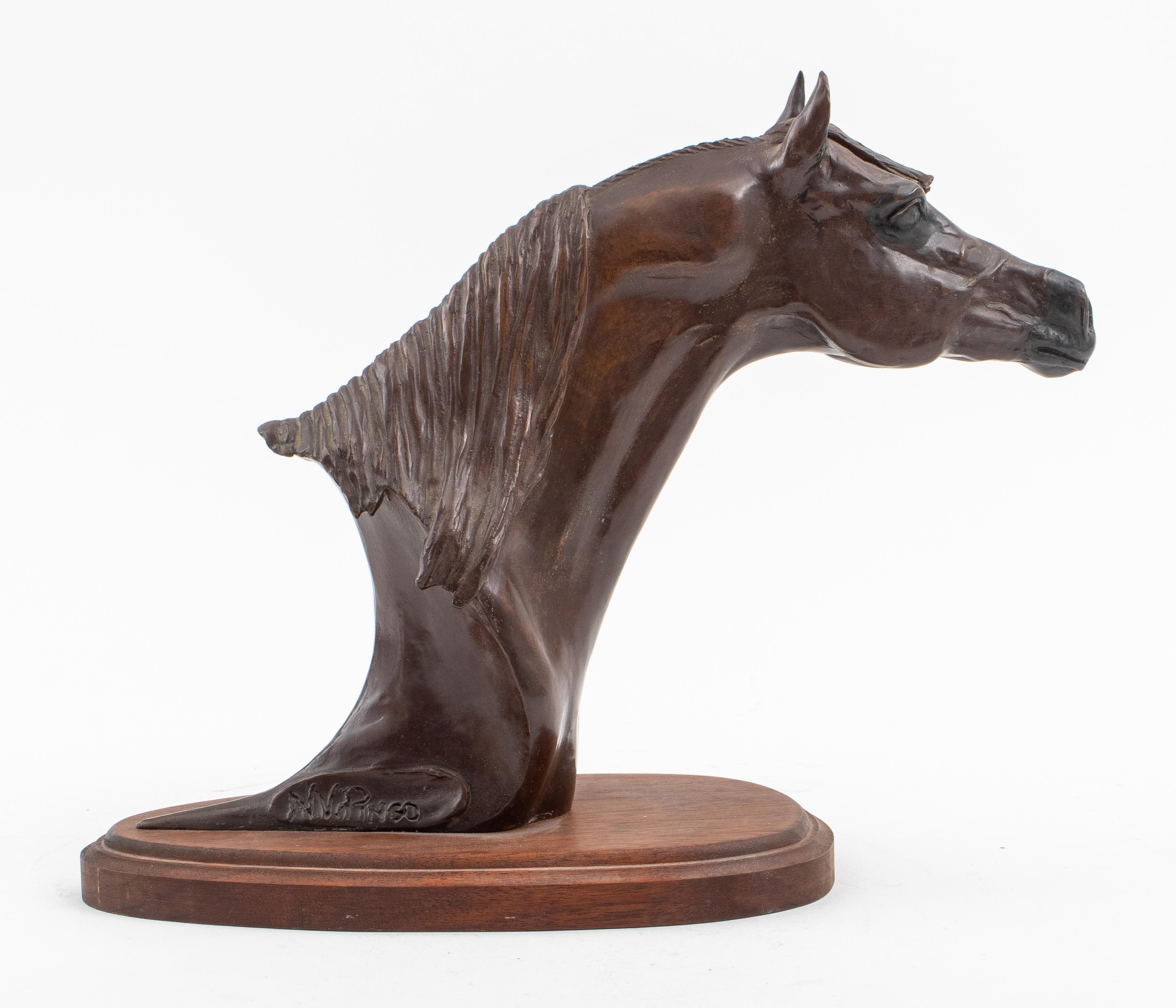Snell Johnson: Bronze-Pferdenbüste „NV Pingo“ (20. Jahrhundert) im Angebot