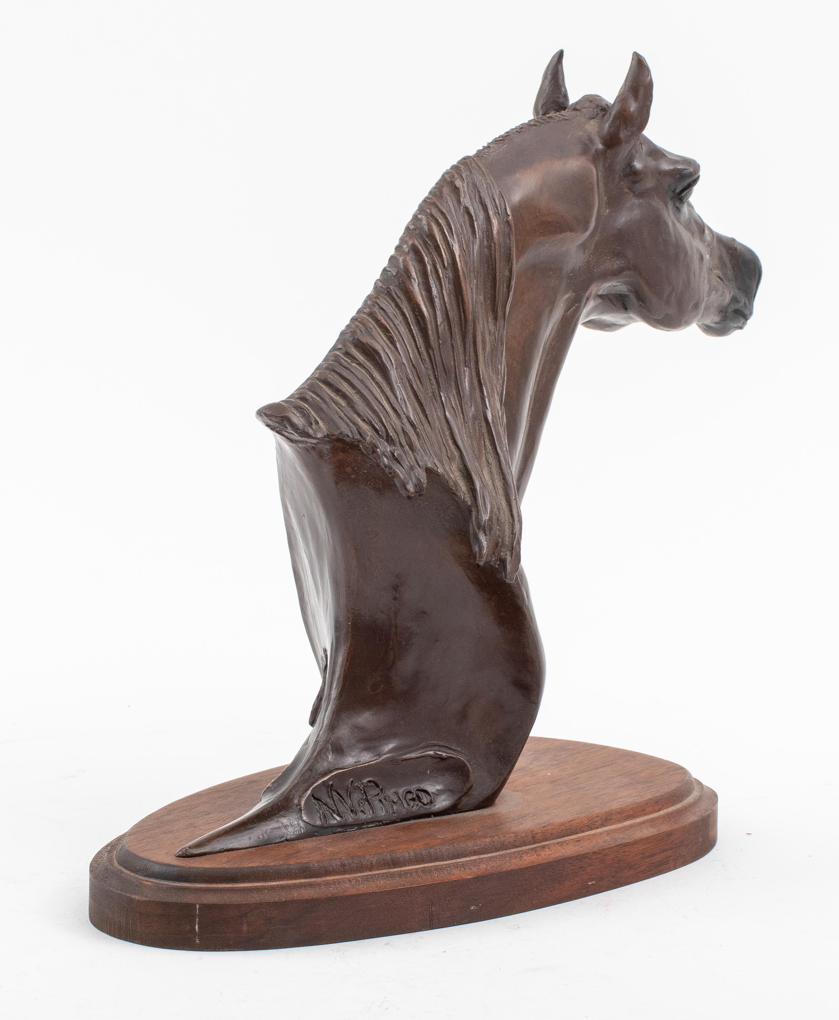 Snell Johnson: Bronze-Pferdenbüste „NV Pingo“ im Angebot 1
