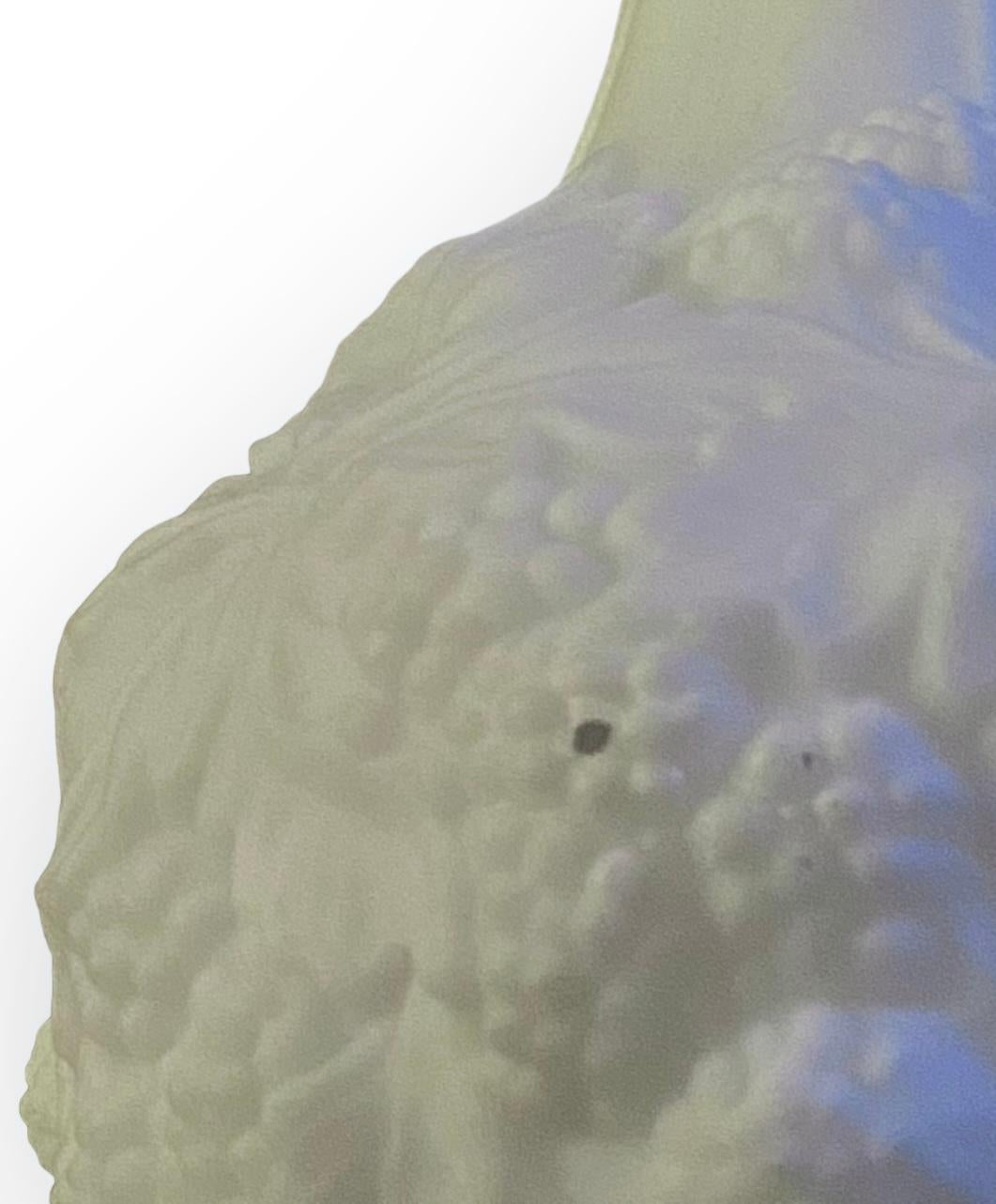 Neve Vaso antico del XIX secolo in ceramica parigina bianca con bacche e foglie in vendita 7