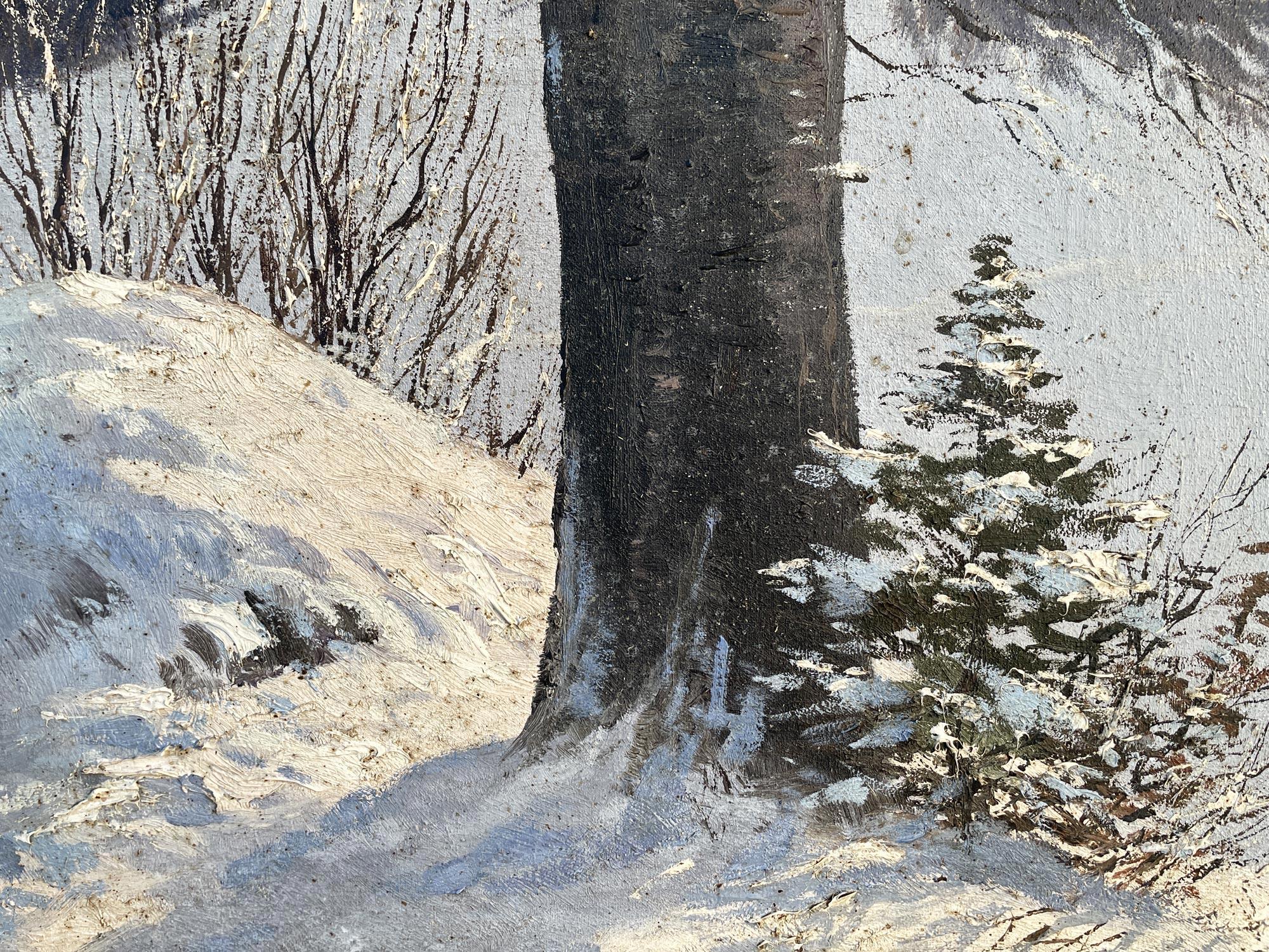 Huile sur toile de Paul Schuler - Dolomites 1930 en vente 2