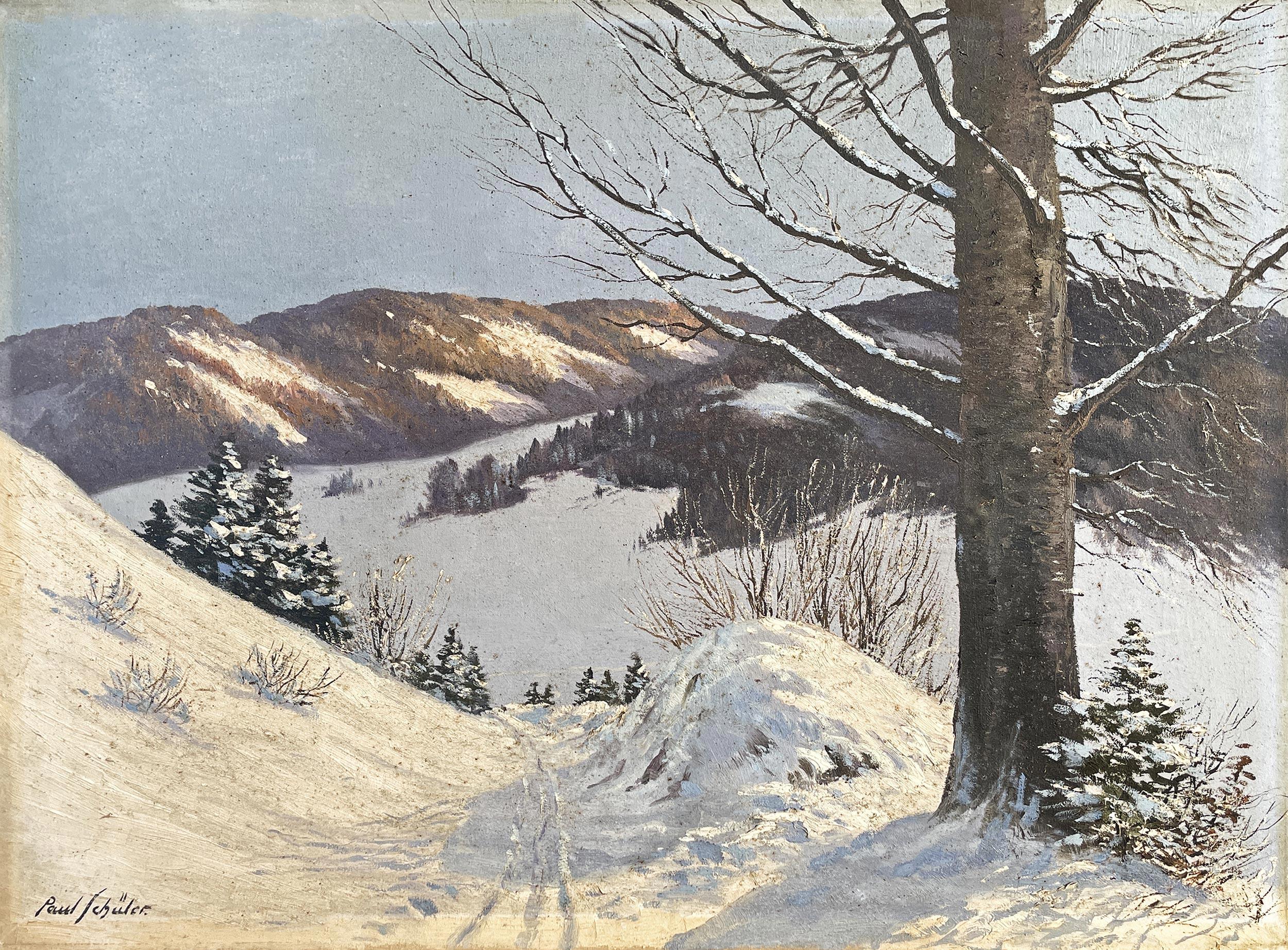 Huile sur toile de Paul Schuler - Dolomites 1930 en vente 9