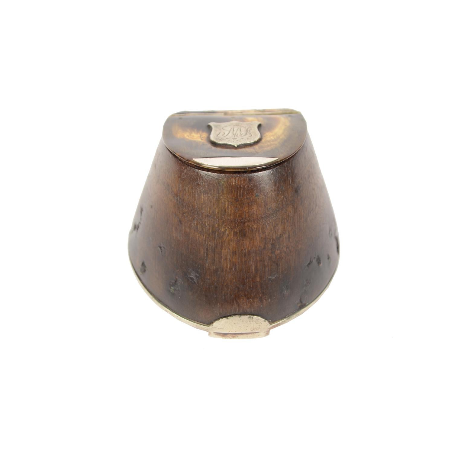 British Late 19th Century antique Snuff Box Made in a Horse's Hoof with Horn Lid For Sale