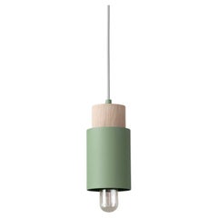 SO5 Classic Moss Suspension Lamp by +kouple