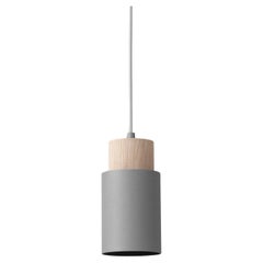 SO5 Spot Grey Pendant Lamp by +kouple