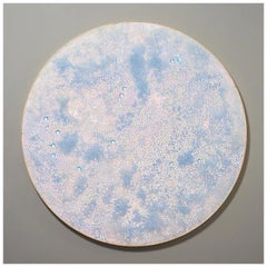 Soap Large Wall Sculpture by Corine Vanvoorbergen