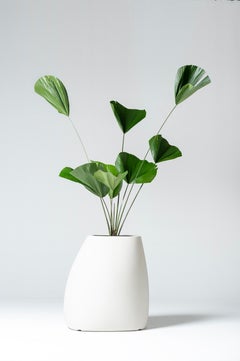 Soave Large di Piegatto, una fioriera scultorea