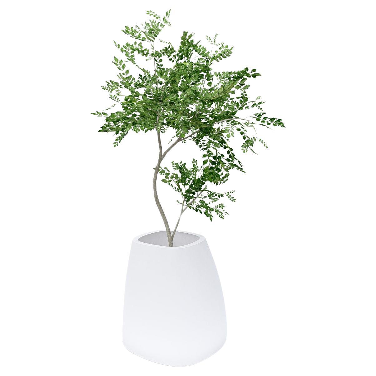 Soave Large by Piegatto, a Sculptural Planter