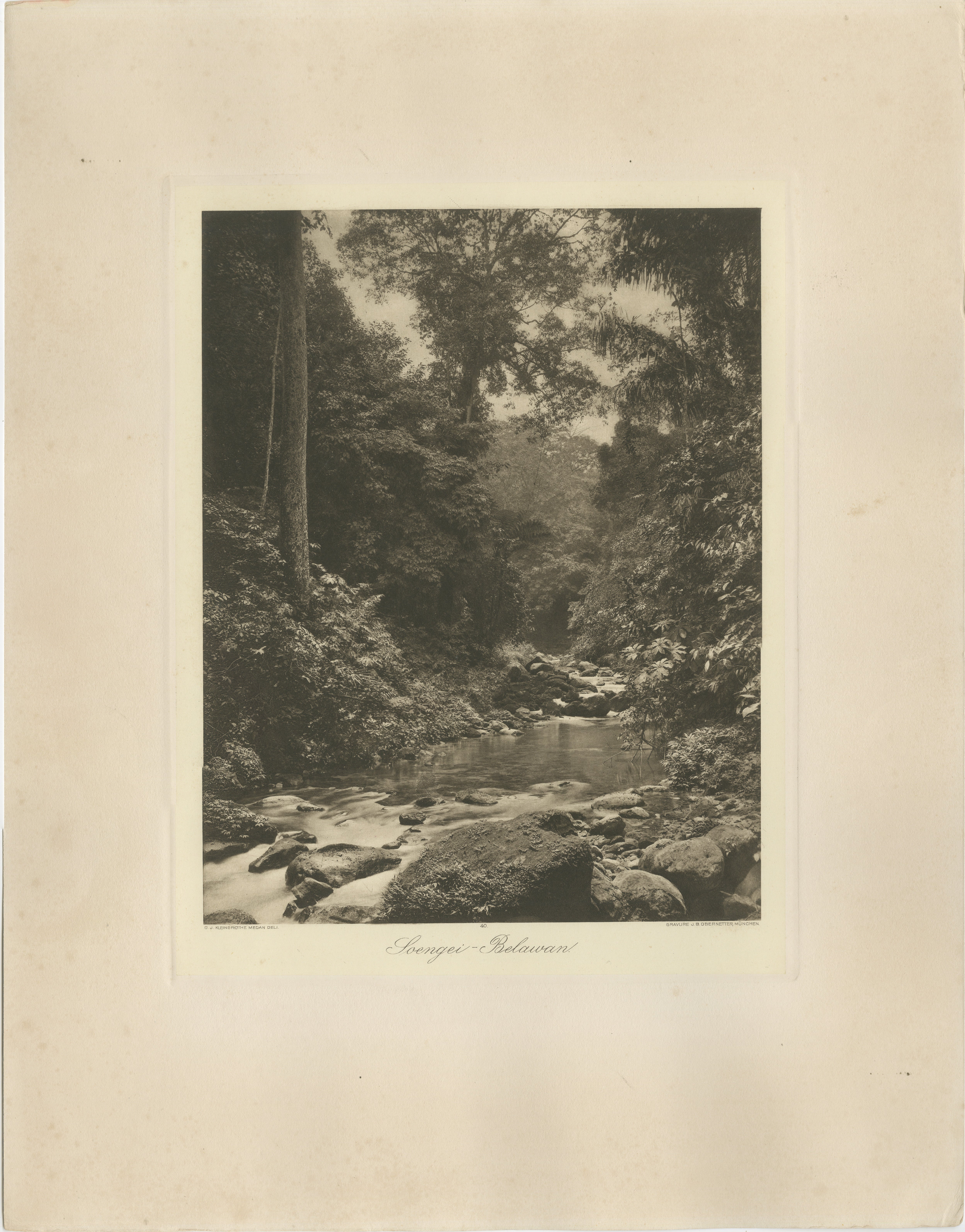 Soengei Belawan River, Medan Region — C.J. Kleingrothe, ca. 1910

Photogravure view of the Soengei Belawan, a river flowing through the dense tropical rainforest of East Sumatra. Created by Charles J. Kleingrothe, the leading photographer and