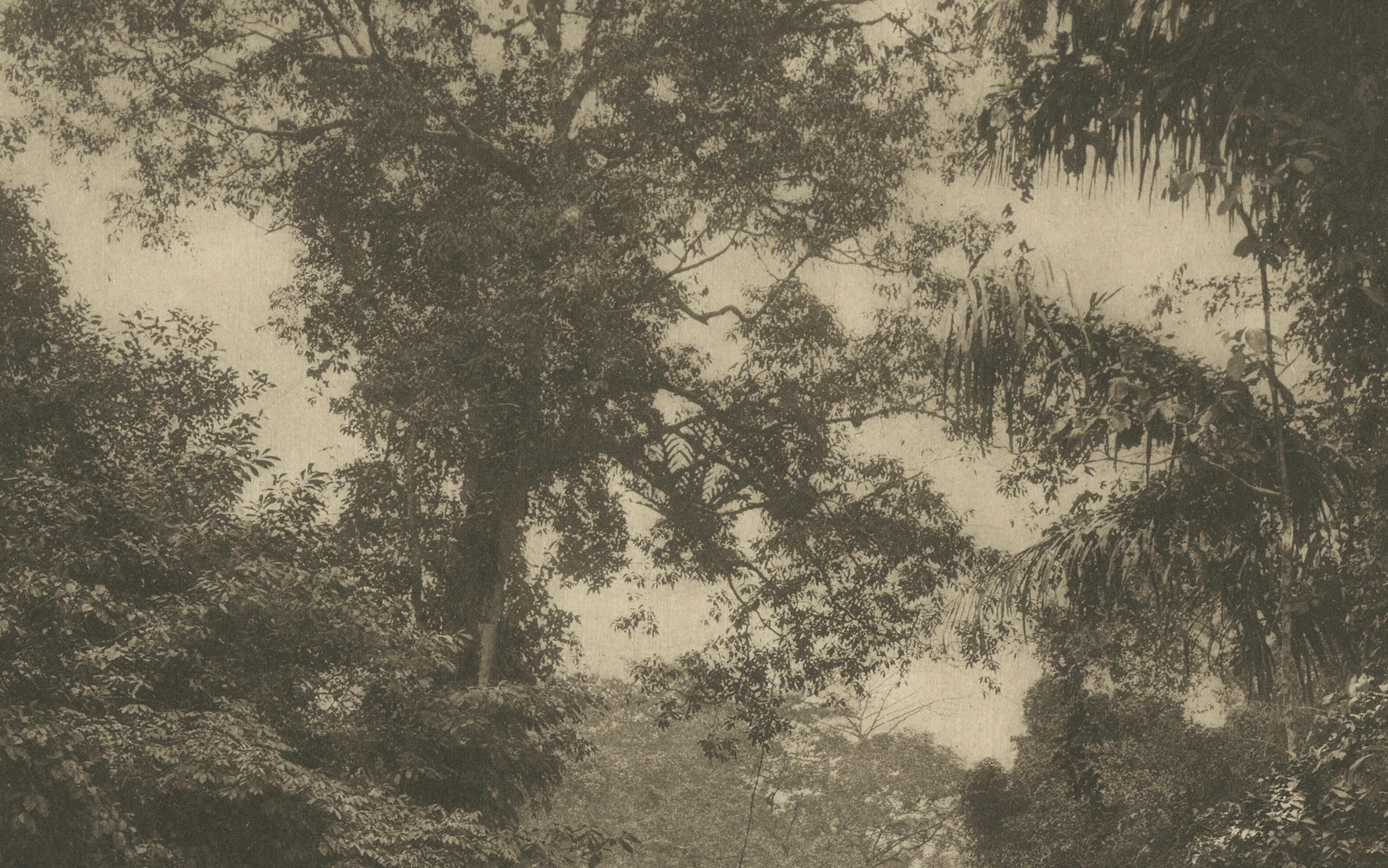 Soengei Belawan River, Medan – C.J. Kleingrothe Photo, Dutch East Indies c.1910 For Sale 1