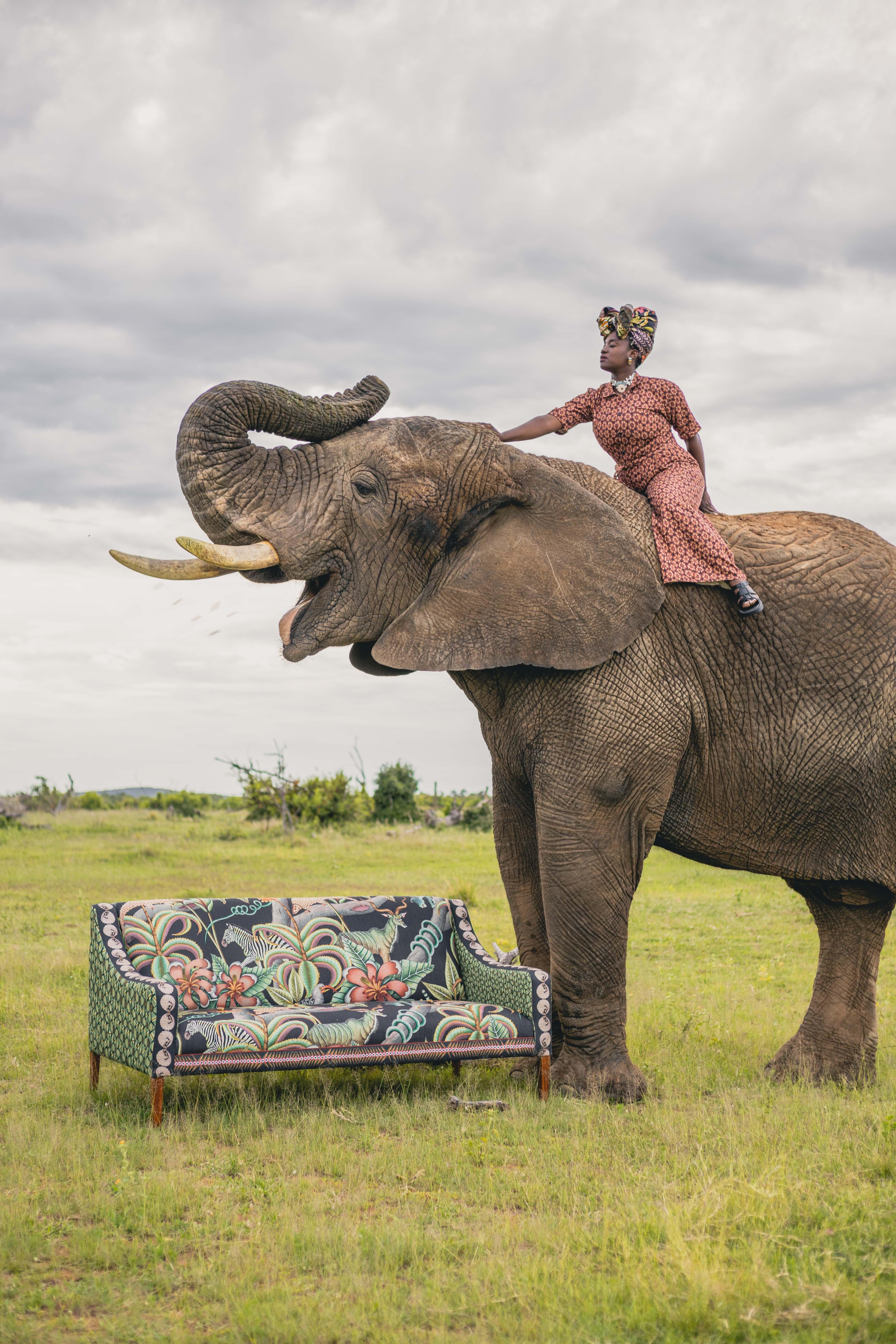 Sofa – Ardmore Thanda, limitierte Auflage im Angebot 11