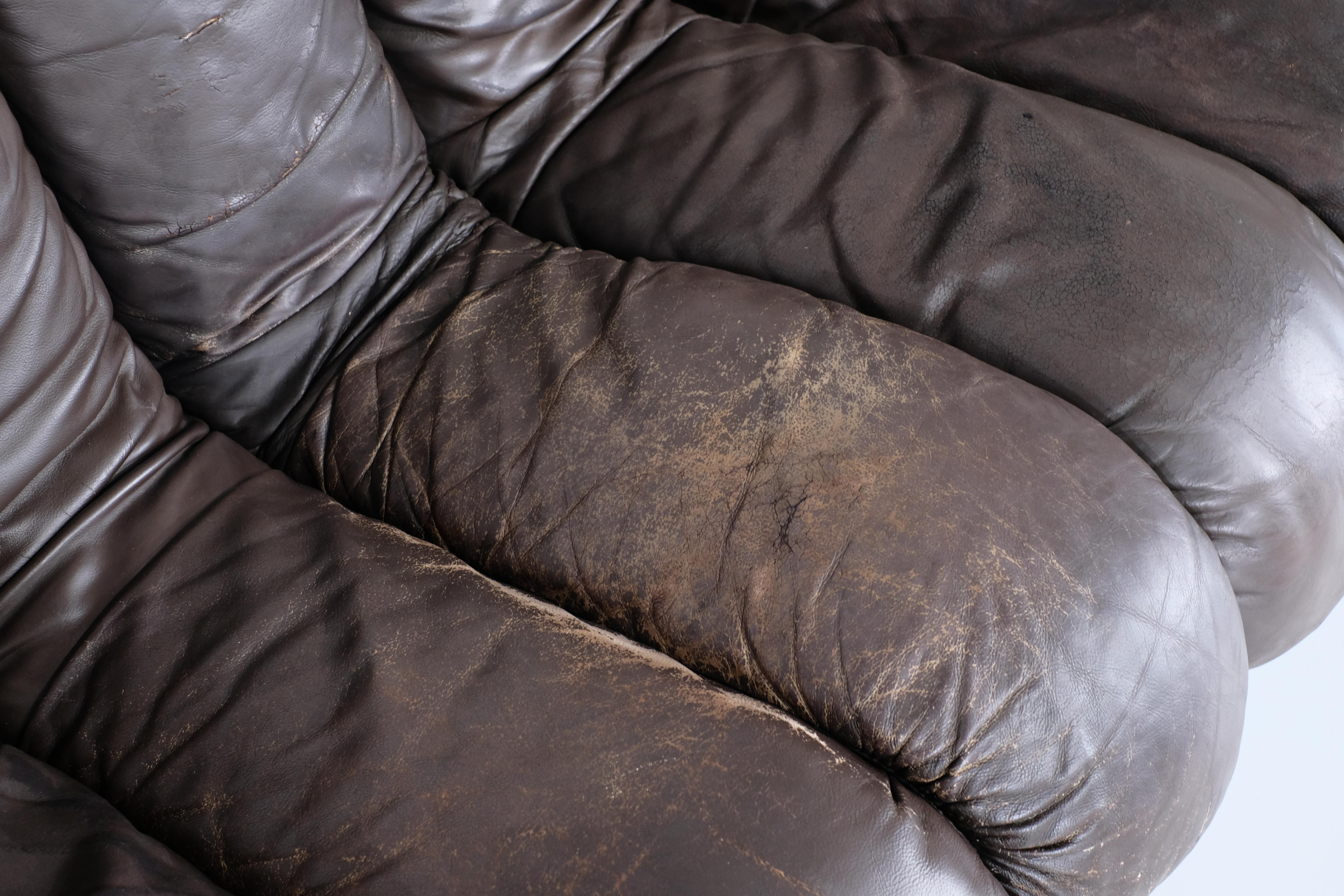 Sofa aus Leder Non Stop „Ds 600“ für De Sede, Schweiz 1970er Jahre. im Angebot 9
