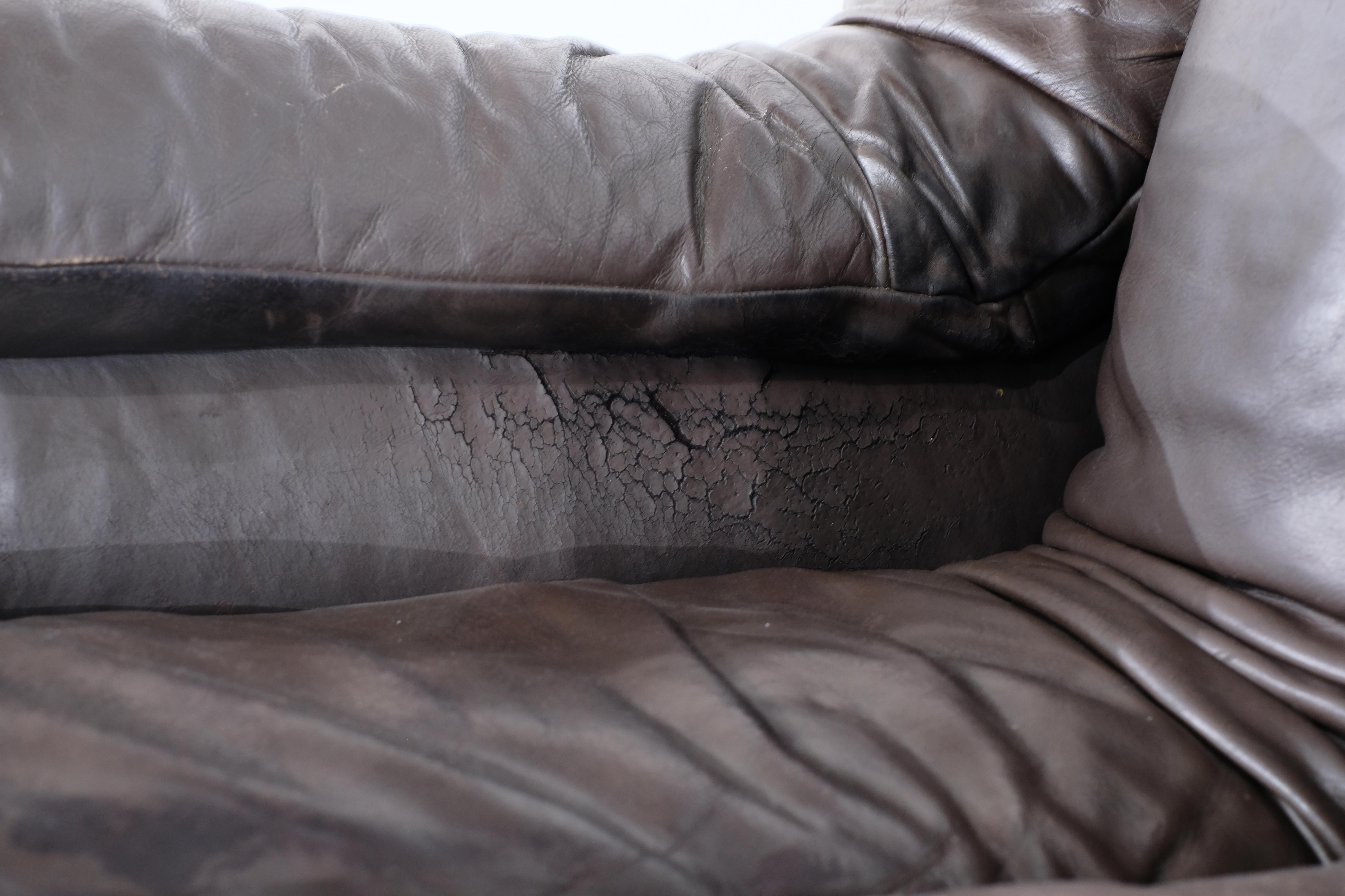 Sofa aus Leder Non Stop „Ds 600“ für De Sede, Schweiz 1970er Jahre. im Angebot 12