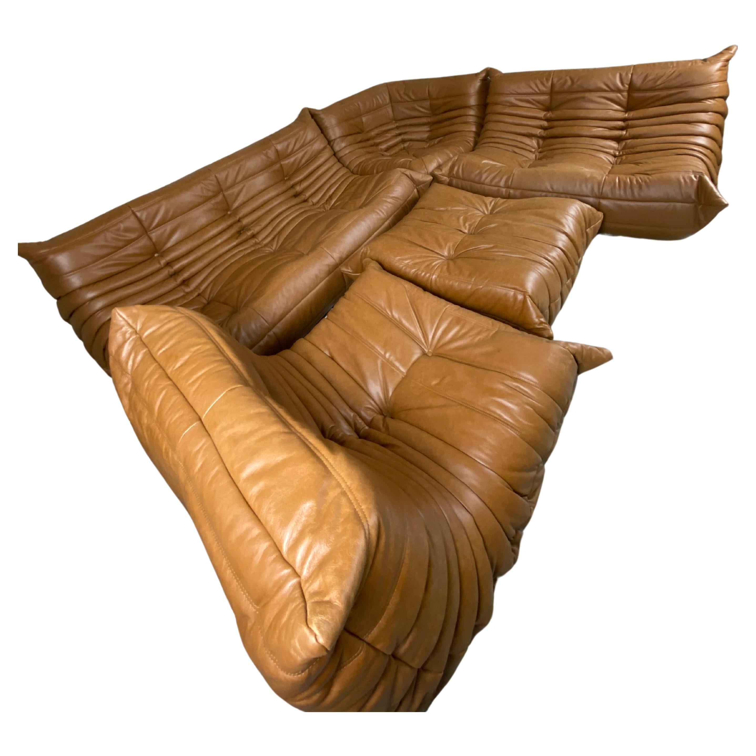 Sofa Togo by Michael Ducaroy for Ligne Roset, set of 5 For Sale