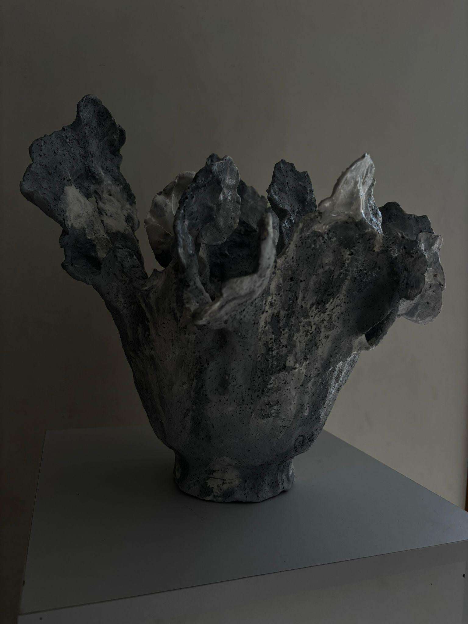 Israeli Soft horizon For Sale