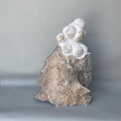 Escultura de mármol tallada a mano Soft Outcome de Tom von Kaenel