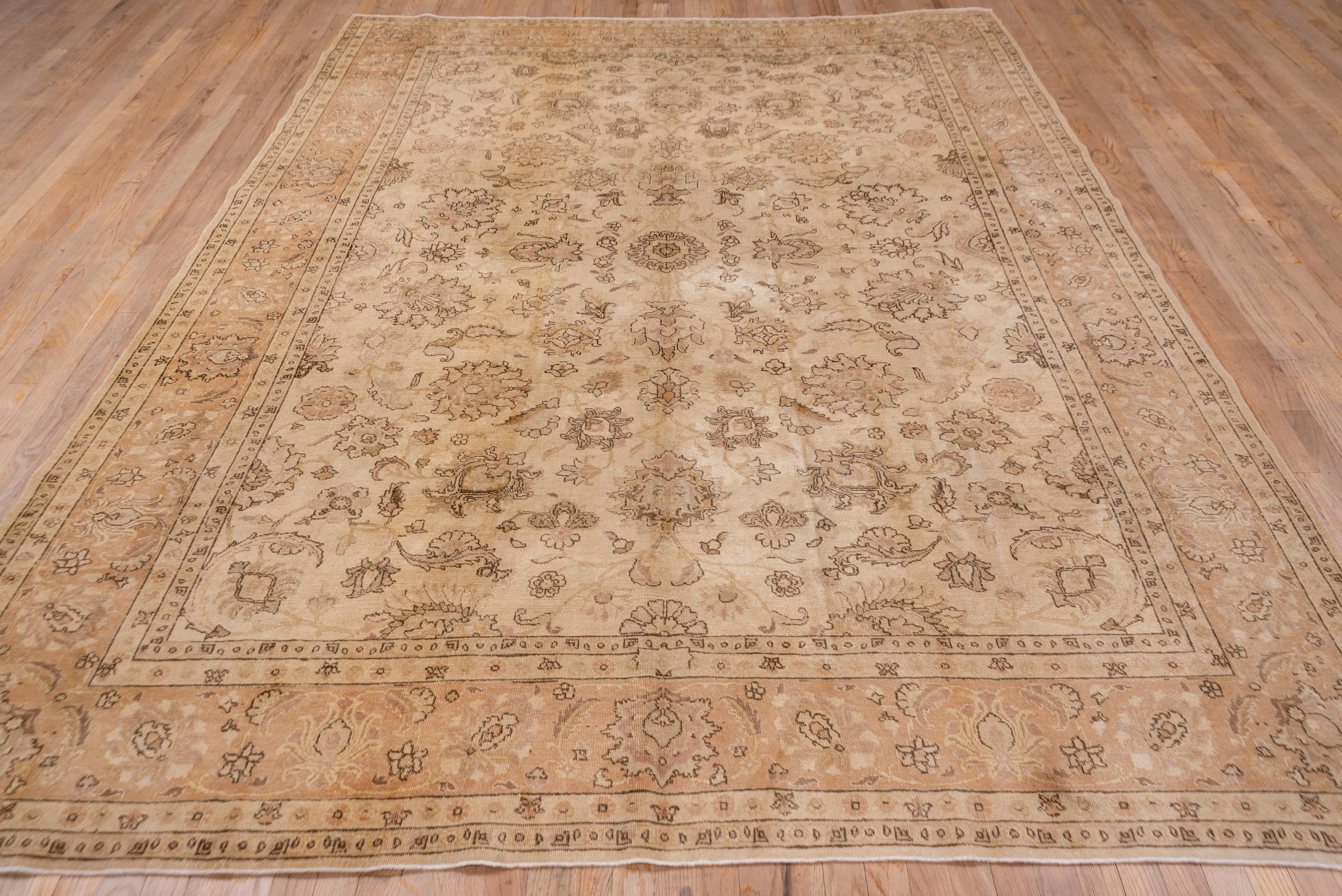 The golden ivory field displays strikingly brown detailed palmettes and various style of leaves with a connecting shadow vinery. The light ochre border continues the palmette and brown accent approach. The brushy pile is even and slightly low with a